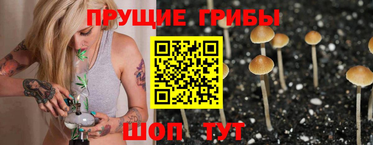 Псилоцибиновые грибы мицелий  Вход с VPN  купить наркотики сайты  Псилоцибиновые грибы мухоморы  Осинники 
